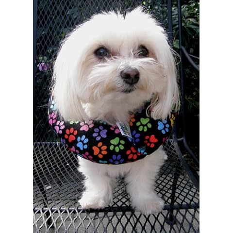 Puppy Bumpers thumbnail