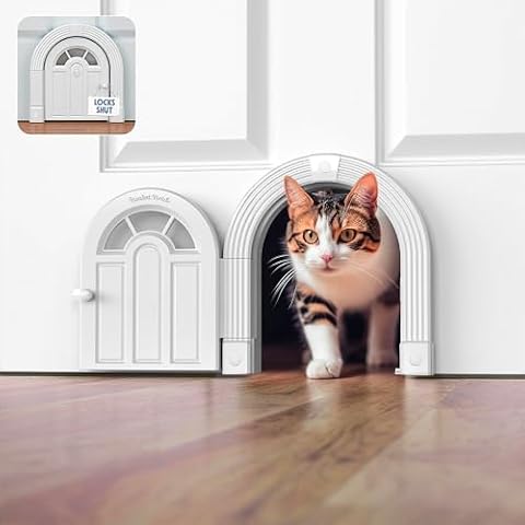 Purrfect Portal feature image