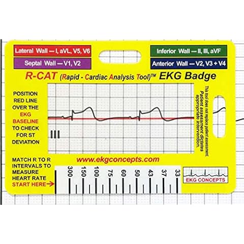 R-Cat thumbnail