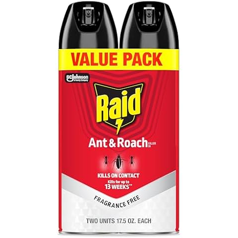 Raid thumbnail