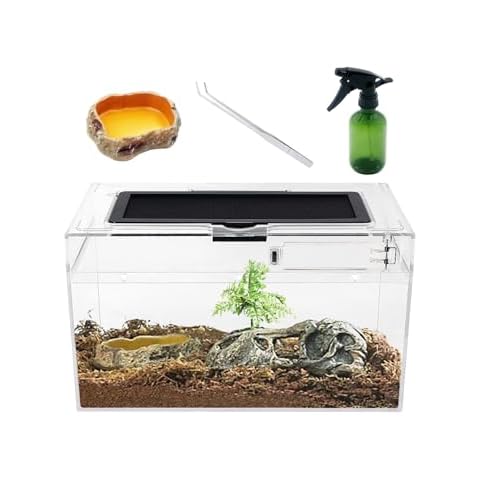 Reptile Growth feature image