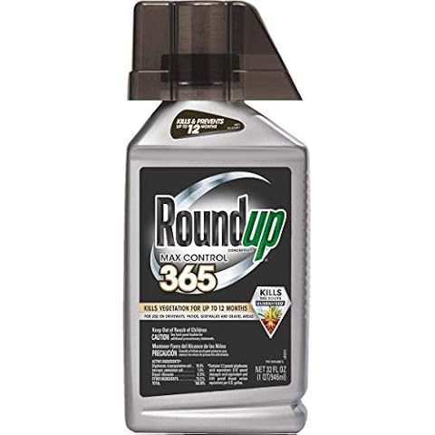Roundup thumbnail