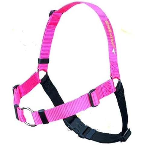 SENSE-Ation Dog Harness thumbnail