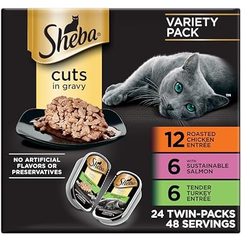 Sheba thumbnail