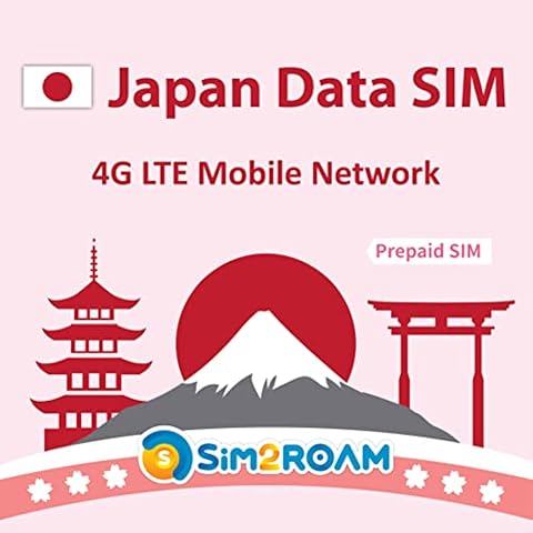 SIM2ROAM thumbnail