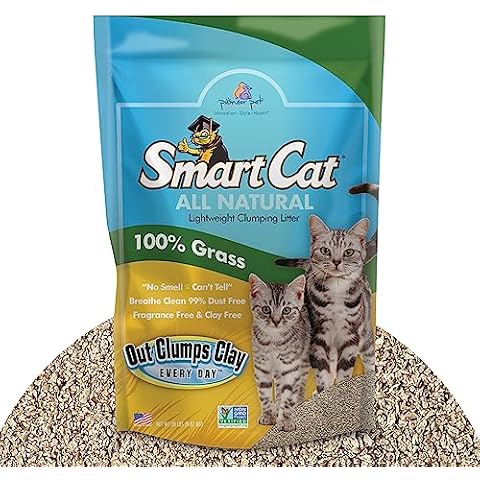 SmartCat thumbnail