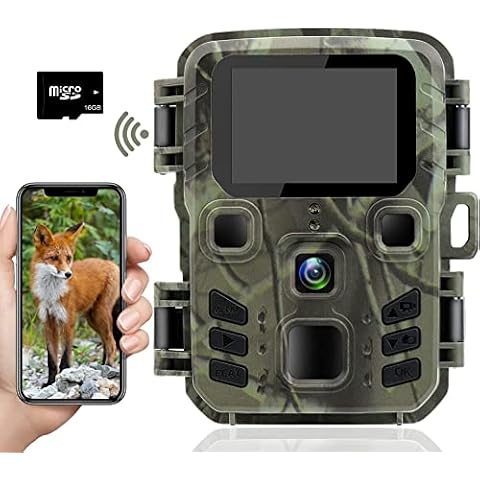 SUNTEKCAM thumbnail