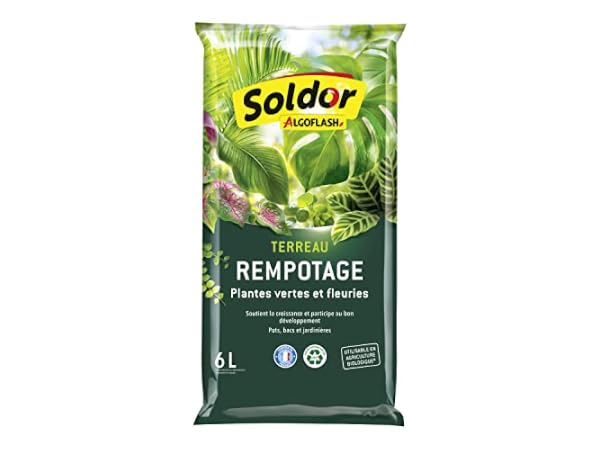 Terreaux Vignette