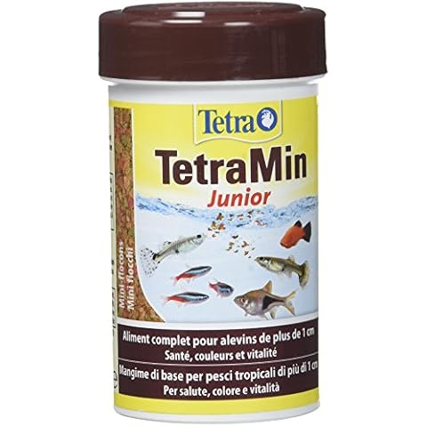 Tetra thumbnail