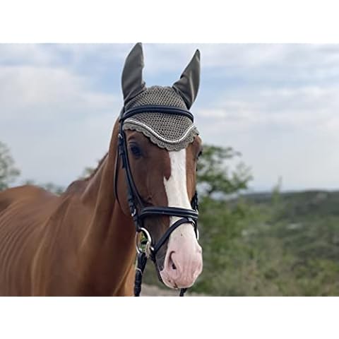 TGW RIDING thumbnail