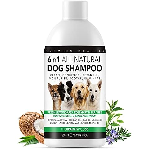 The Healthy Dog Co thumbnail