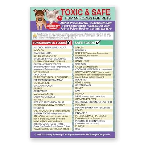 TLC Safety By Design thumbnail