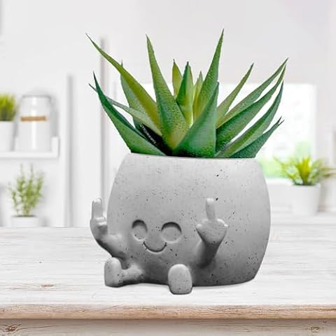 Toparad feature image