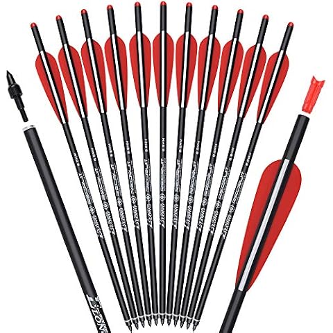 TY Archery thumbnail