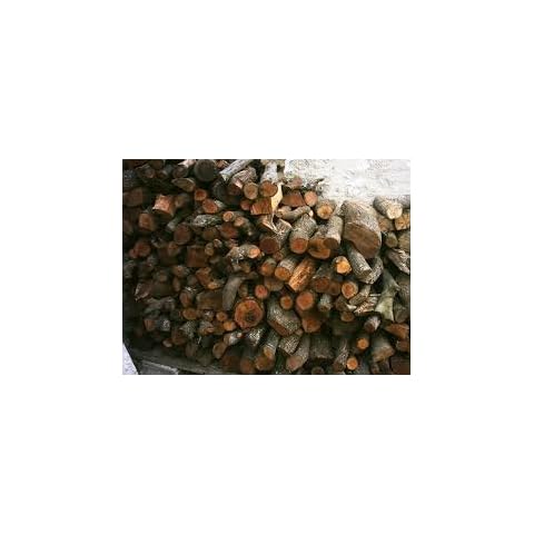 Viveros Horizon Forestal thumbnail