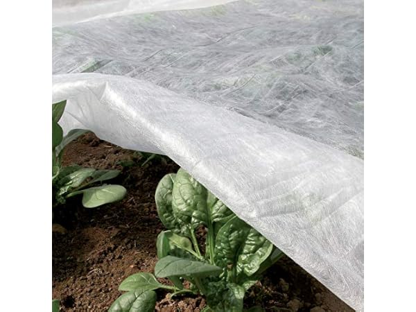 Voiles de protection Vignette