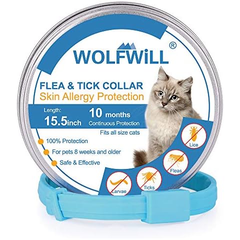WOLFWILL thumbnail