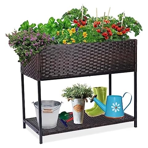 WONDER GARDEN feature image