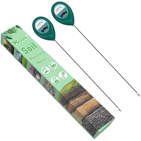 XLUX feature image