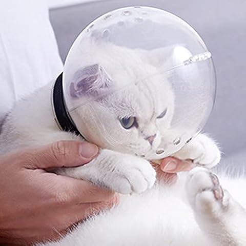ZHOUBA thumbnail