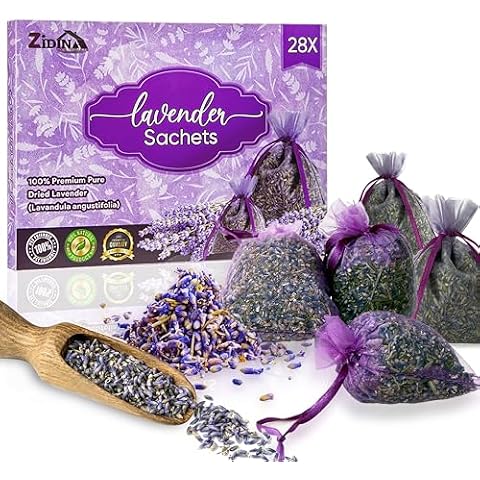 Zidina feature image